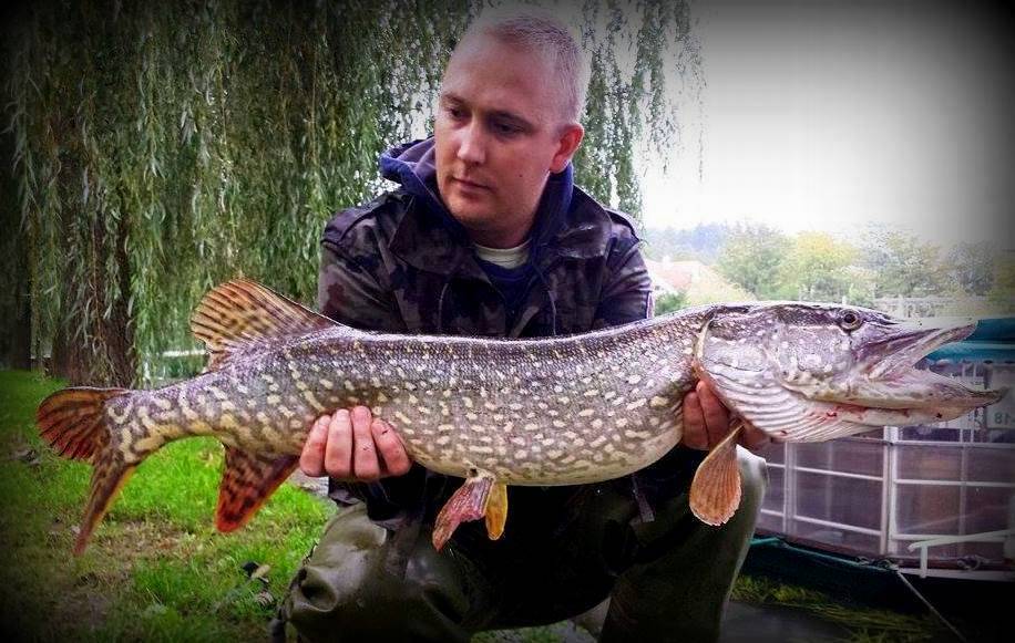 93cm, Ljubljana (Špica), C&R, 2014, 