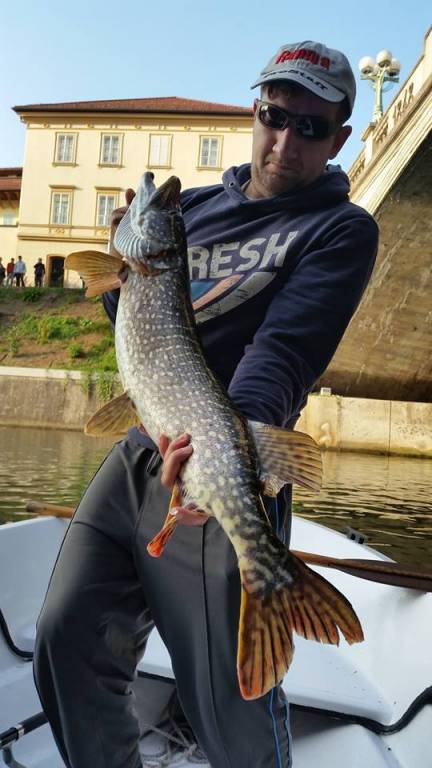 93cm, Ljubljana, C&R, 2014, 