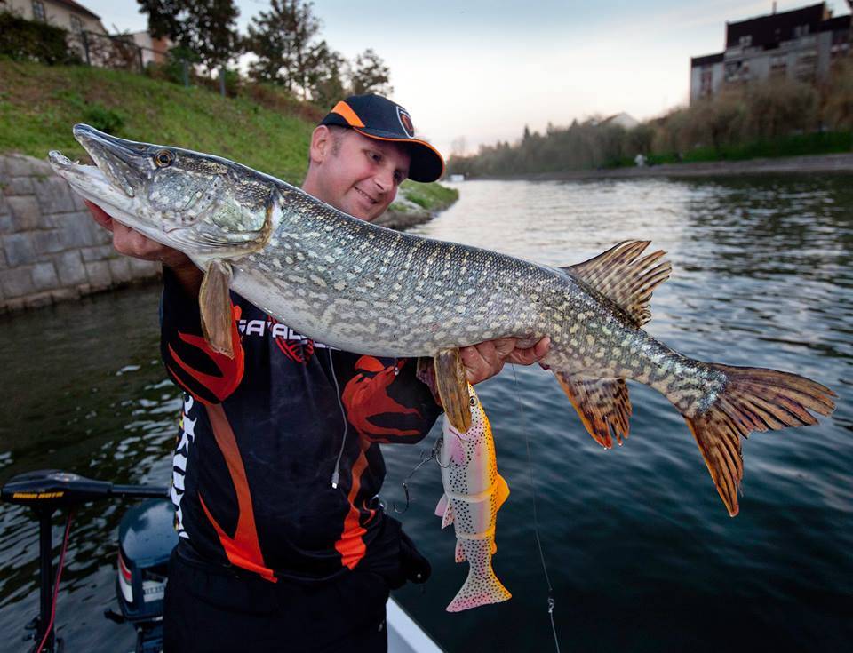 95cm, Ljubljana - Trnovo, C&R, 2014, 