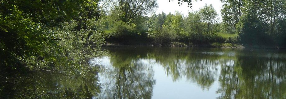 Gramoznica Gradišče skrajno desno (086)