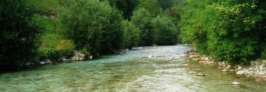 Ribiška družina Water manager