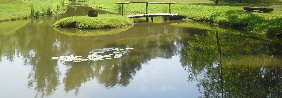 Mrtvica Lesjakova del (008)