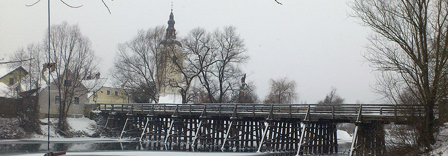 Ribiška družina Kostanjevica na Krki