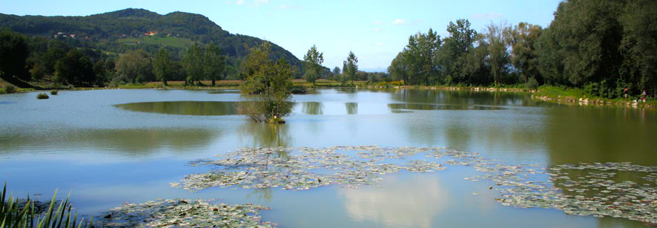 Ribnik Prilipe Ribnik Prilipe 1