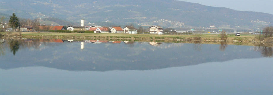 Ribniki Hotinja vas 2,3