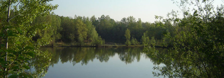 Gramoznica 503 Rogoz (035)