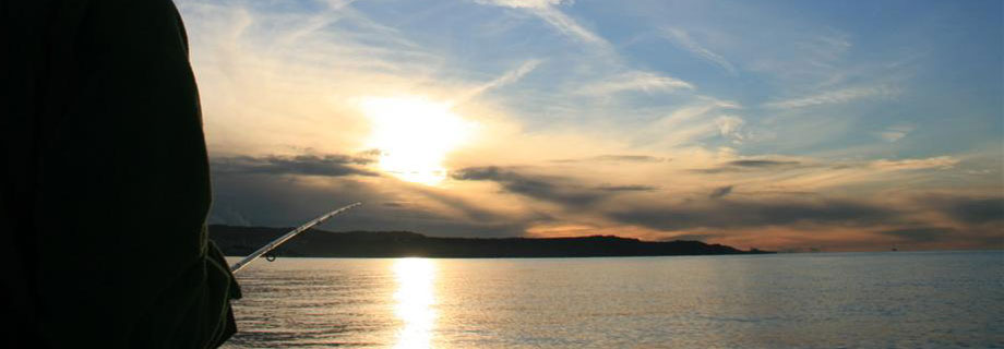 Zveza za športni ribolov na morju Slovenije (ZŠRMS)