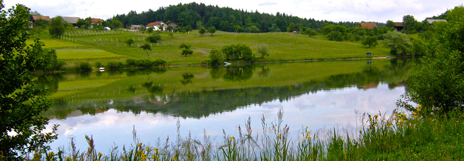 Ribiška družina Celje