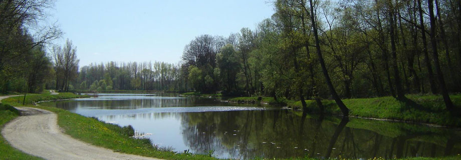 Gramozinca Tekmovalna (066)